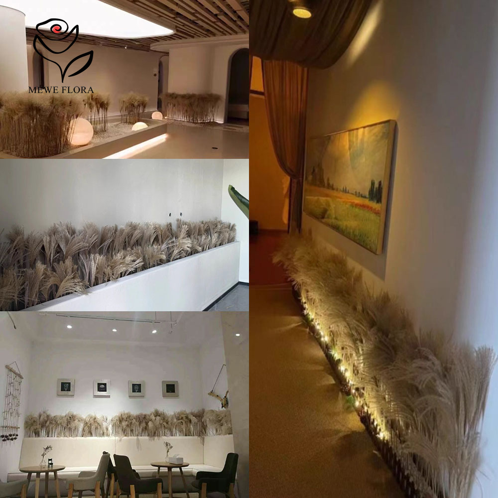200PCS Natural Dried Fluffy Re - Dried Flower Bulk ulasan dan harga
