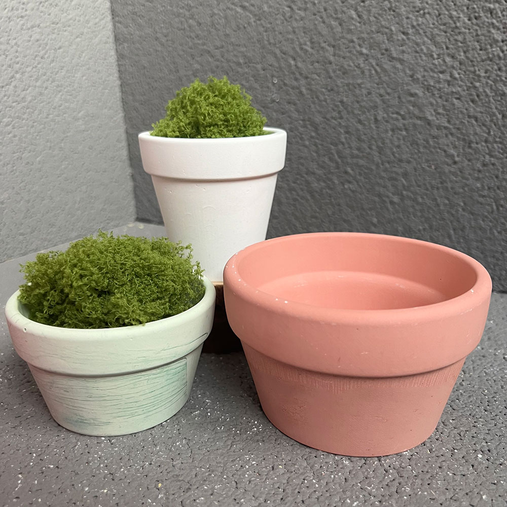 Large Concrete Plant Pot Silic - Coaster Mold Round ulasan dan harga