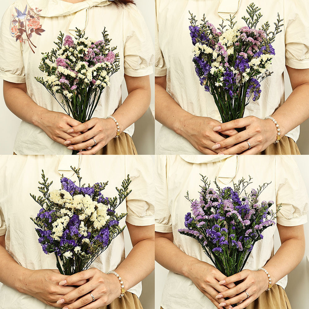 100g Natural Real Forget-me-no - Dried Flower Bulk ulasan dan harga